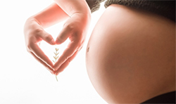 怀孕了如何检测孩子是谁的[鹤壁]，鹤壁无创怀孕亲子鉴定费用是多少钱
