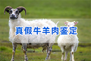 鹤壁羊类动物鉴定